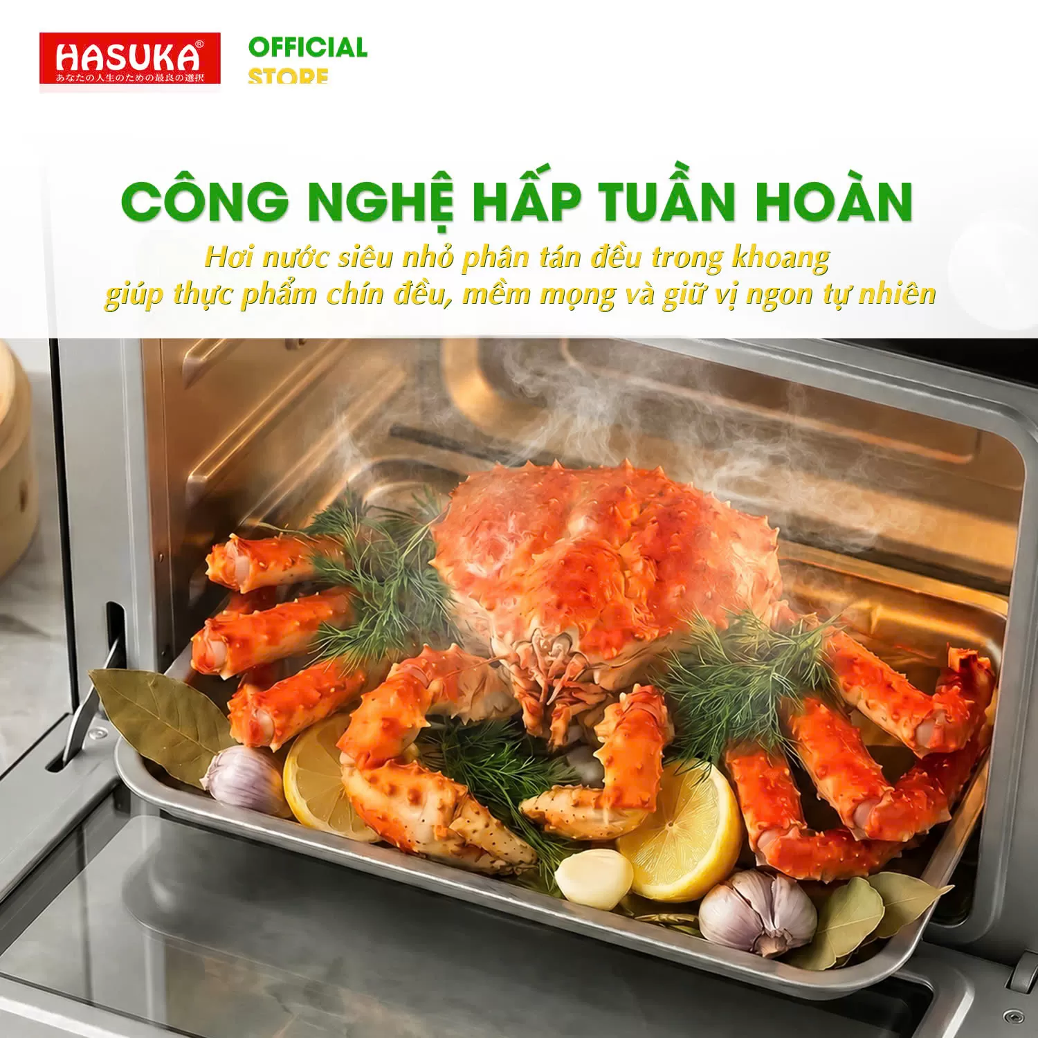 LÒ NƯỚNG HẤP ĐỐI LƯU HASUKA HSK-353