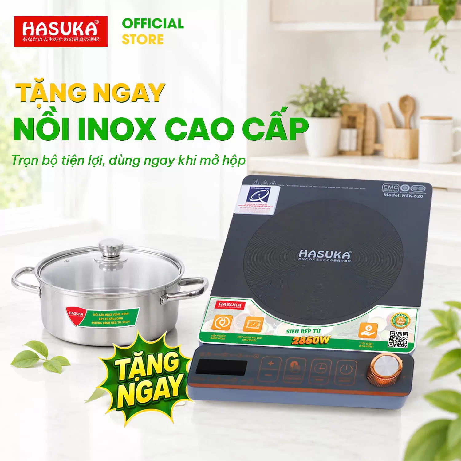 BẾP ĐIỆN TỪ ĐƠN CAO CẤP HASUKA HSK - 620