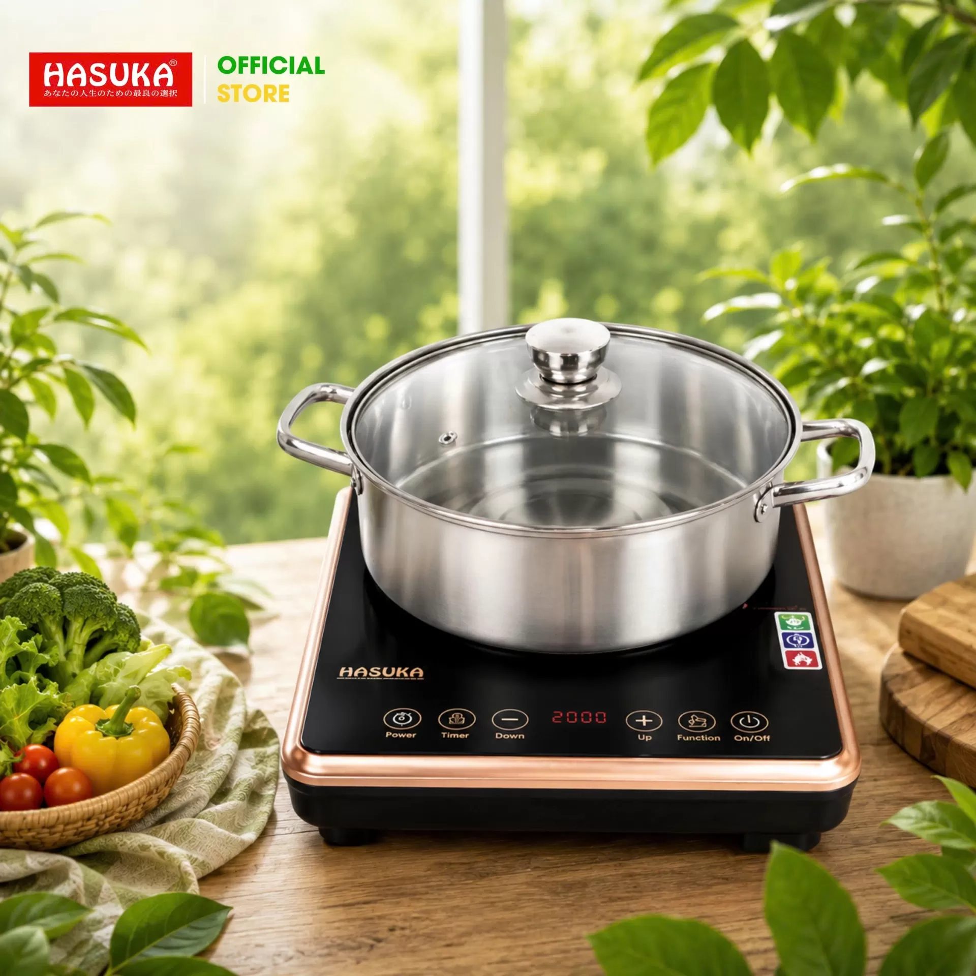 BẾP ĐIỆN TỪ ĐƠN CAO CẤP HASUKA HSK-621